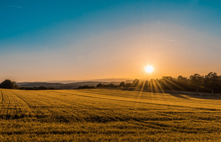 Sustainability and Lifelong Learning